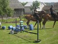 Den deti 2017   115